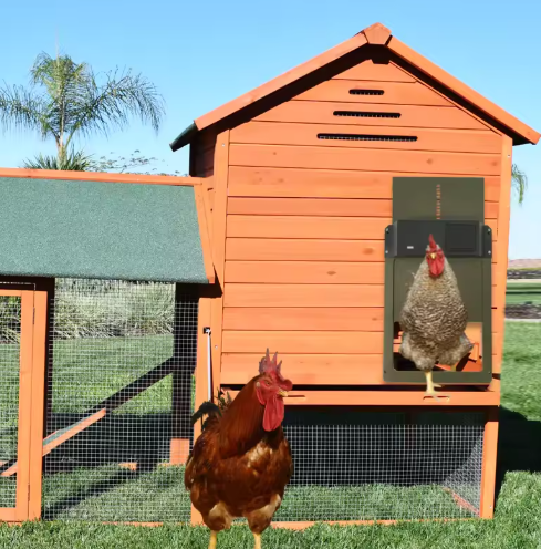 Automatic Chicken Coop Door - Solar & Battery Powered Poultry Automatic Door