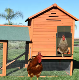 Automatic Chicken Coop Door - Solar & Battery Powered Poultry Automatic Door