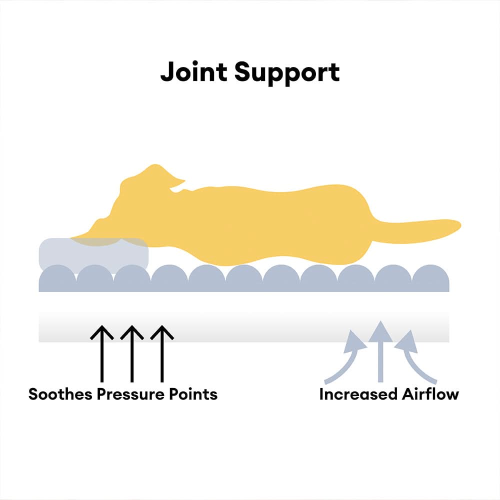 Canilux - Orthopedic Dog Bed with Memory Foam & Headrest
