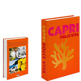 Elegant Faux Decorative Books - Stylish Fake Books Decor for Home