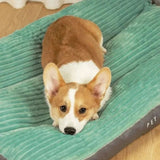 FlauschNest - Orthopedic Dog Bed for Joint Relief & Comfort