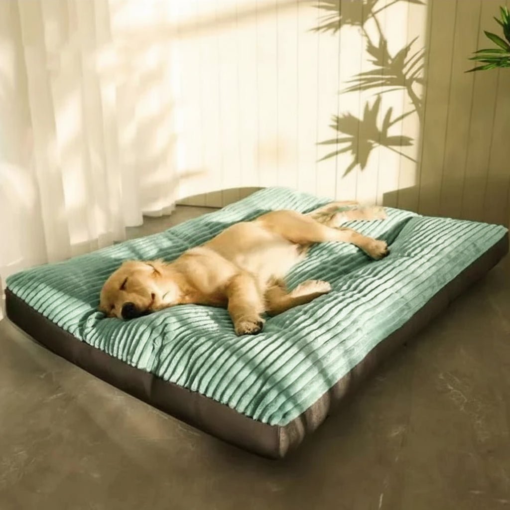 FlauschNest - Orthopedic Dog Bed for Joint Relief & Comfort