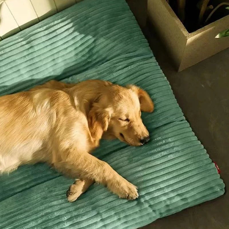 FlauschNest - Orthopedic Dog Bed for Joint Relief & Comfort
