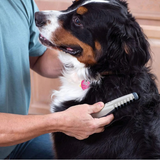 Gentle Pet Grooming Clippers - Effortlessly Remove Knots & Tangles