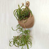 Handwoven Jute Hanging Wall Baskets for Kitchen Storage