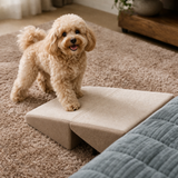 Hilda - Foldable Dog Ramp for Bed & Car - Anti-Slip Pet Access
