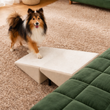 Hilda - Foldable Dog Ramp for Bed & Car - Anti-Slip Pet Access