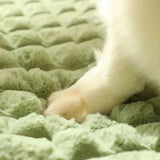PAWSOMNIA - Orthopedic Memory Foam Dog Bed with Washable Cover