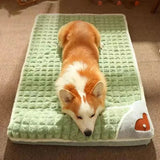PAWSOMNIA - Orthopedic Memory Foam Dog Bed with Washable Cover