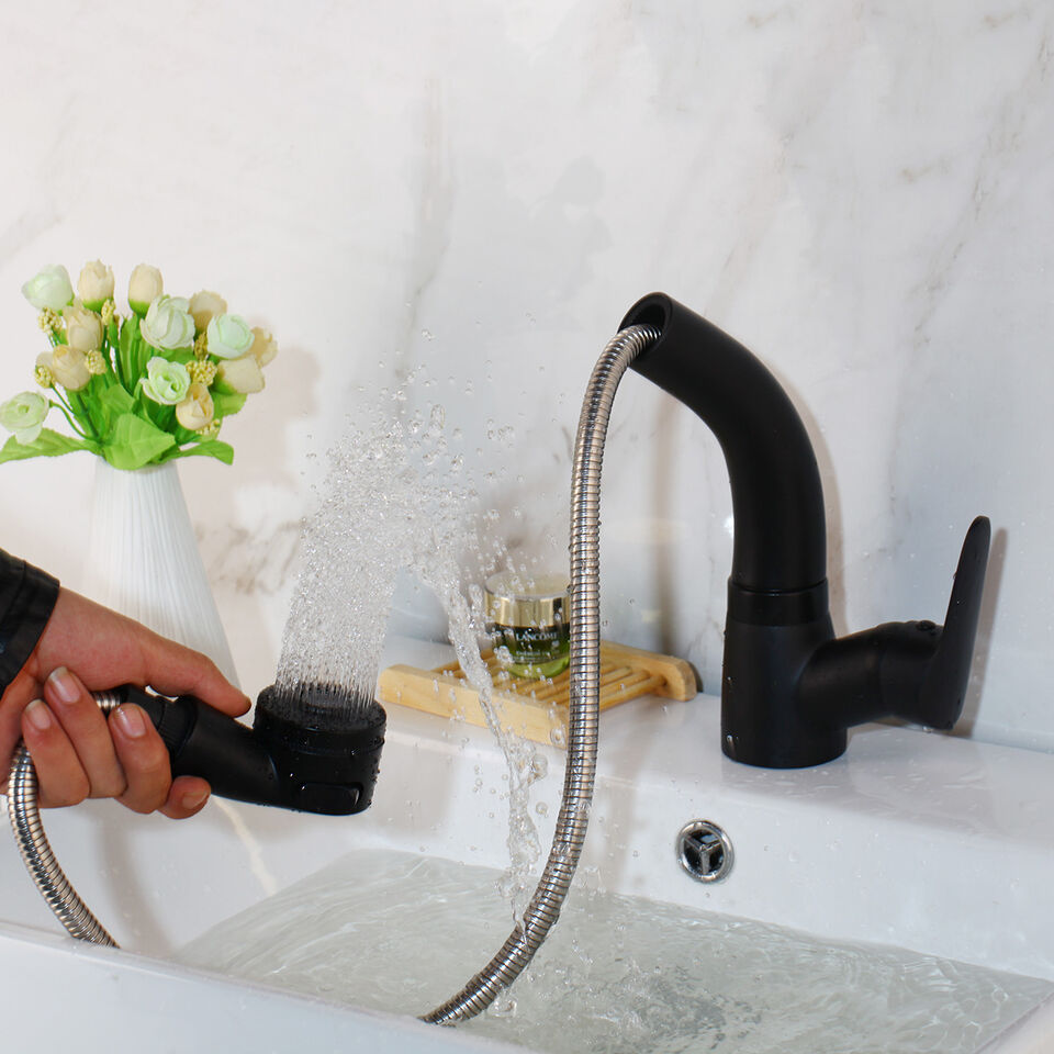 PureFlow Bathroom Faucet with Extendable Spout for Easy Installation