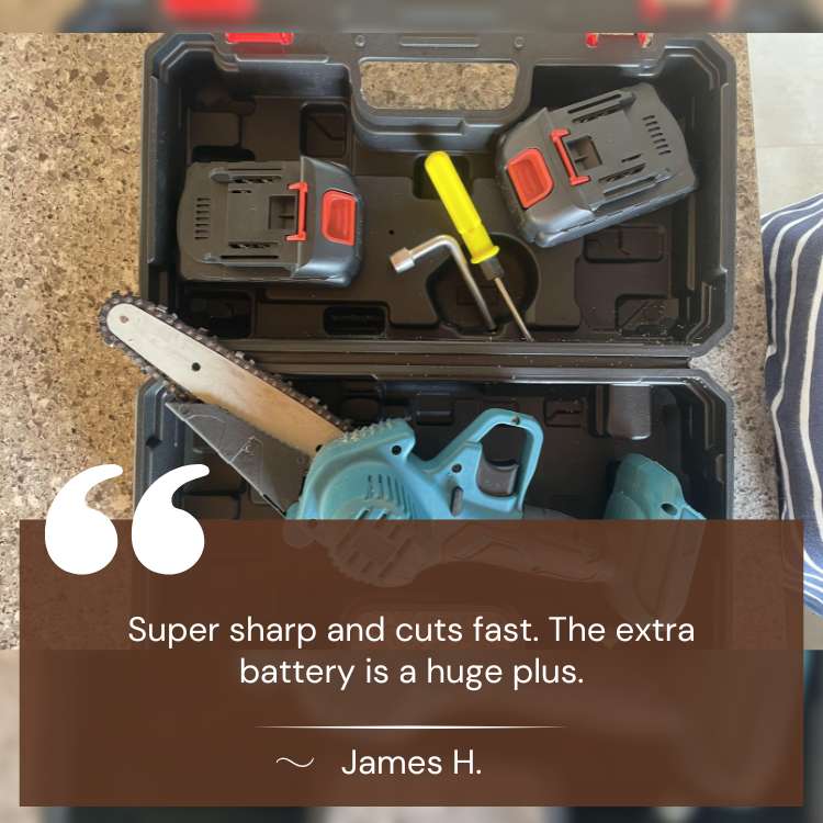 SharpEdge 6-Inch Cordless Electric Chainsaw with Dual Battery 6