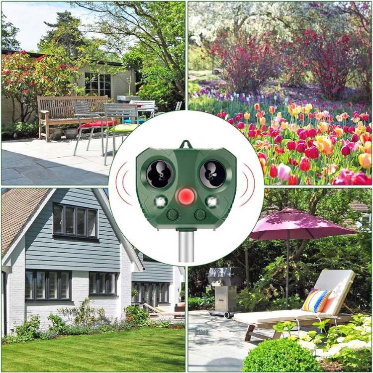 Solar-Powered Ultrasonic Bird and Pest Repeller 2