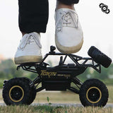 Ultimate 4x4 RC Monster Truck Off-Road 1